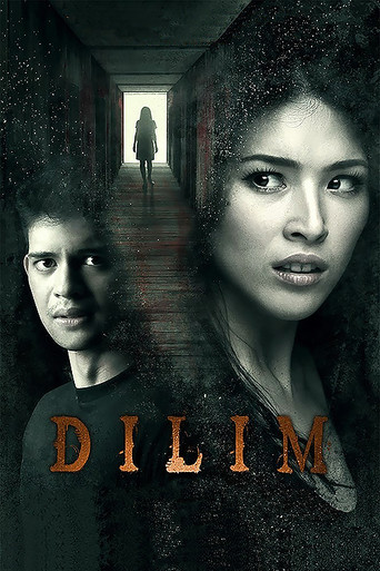 Dilim poster