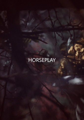 Horseplay poster