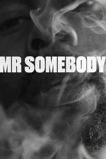 Movie poster for Mr Somebody (2019)
