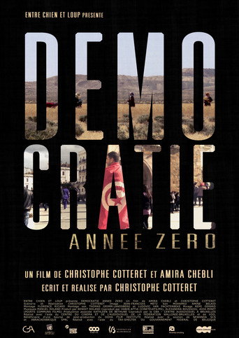 Movie poster for Démocratie Année Zéro (2014)