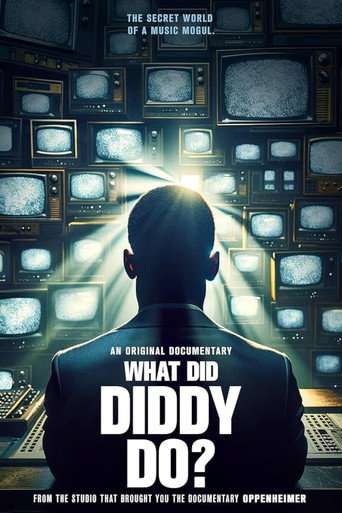Movie poster for What Did Diddy Do?