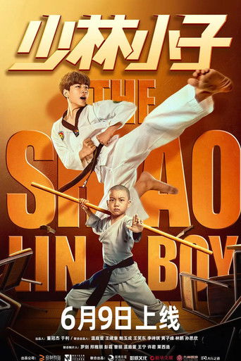 The Shaolin Boy poster