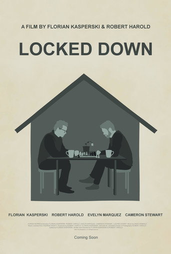Movie poster for Locked Down (2021)