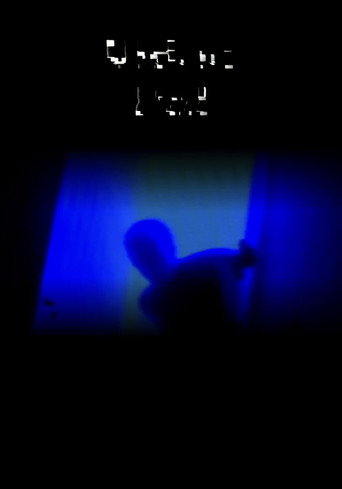 Movie poster for VIDEO PAL (2024)