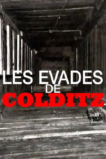 Movie poster for Colditz - Les évadés de la forteresse d'Hitler (2006)