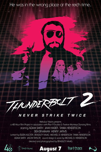 Movie poster for Thunderbolt 2: Never Strike Twice (2016)