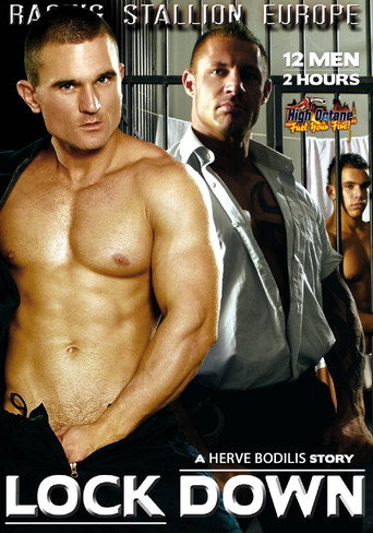 Movie poster for Lock Down (2008)