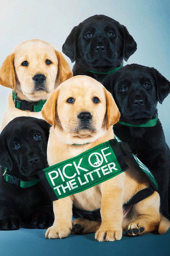 Movie poster for Pick of the Litter (2019)