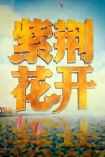紫荆花开 poster