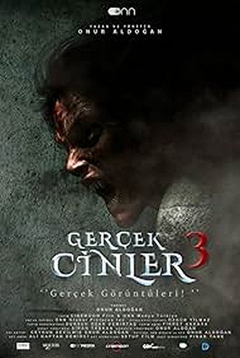 Movie poster for Gerçek Cinler 3