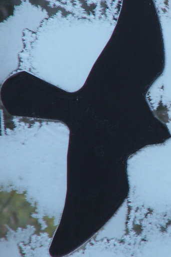 Movie poster for Armoire (4 Parts) (2011)