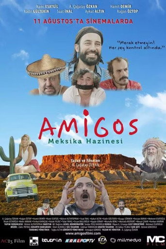 Movie poster for Amigos Meksika Hazinesi (2017)