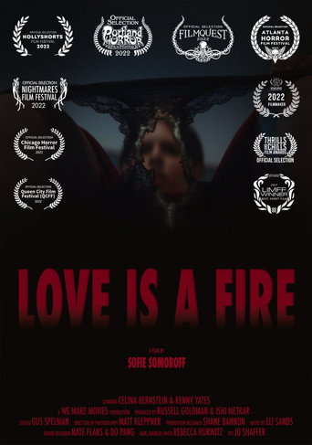 Love is a Fire poster