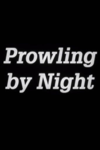 Prowling by Night poster
