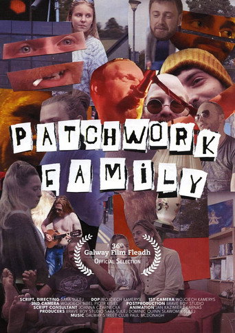 Movie poster for Patchwork Family