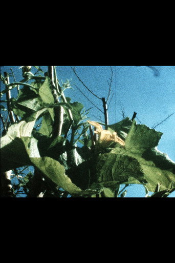 Movie poster for Plantlife (2020)
