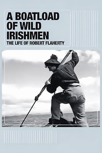 Movie poster for A Boatload of Wild Irishmen (2010)