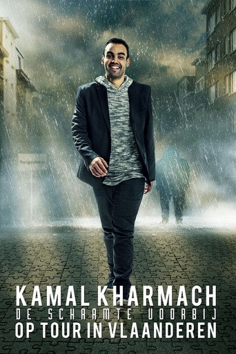 De schaamte voorbij poster