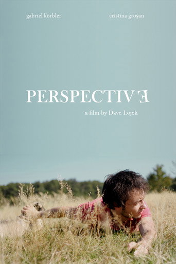 Movie poster for Perspective (2010)