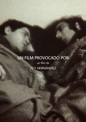 Movie poster for Un Film Provocado Por (1969)