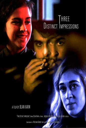 Movie poster for Three Distinct Impressions (2016)