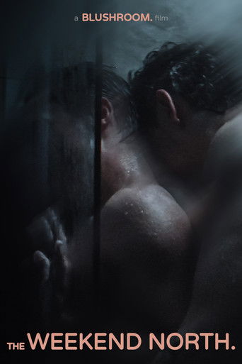 The Weekend North poster