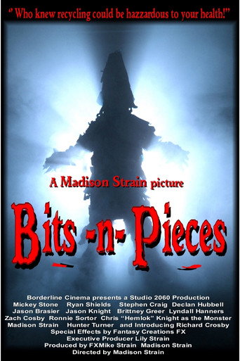 Movie poster for Bits-n-Pieces (2014)