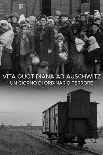 Movie poster for Vita quotidiana ad Auschwitz - Un giorno di ordinario terrore (2020)