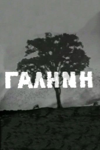 Galini poster