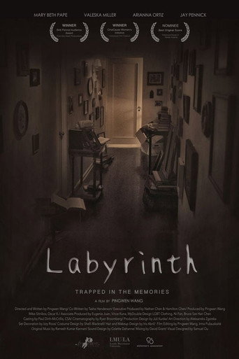 Movie poster for Labyrinth (2016)