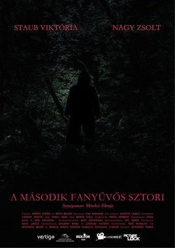 Sasquatch Story No.2 poster