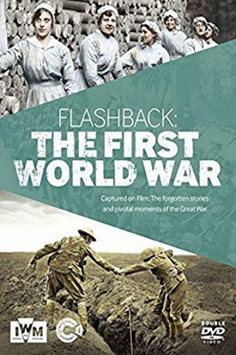 Movie poster for Flashback: The First World War (2014)