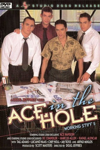 Movie poster for Ace in the Hole: Working Stiff 2 (2004)