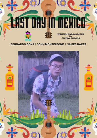 Movie poster for Last Day in Mexico (2016)