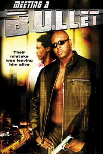 Movie poster for Meeting a Bullet (2004)