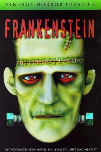 Movie poster for Mary Shelley's Frankenstein - A Documentary (2007)
