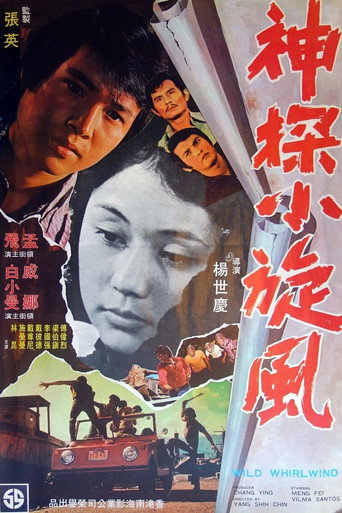 Movie poster for Wild Whirlwind (1974)