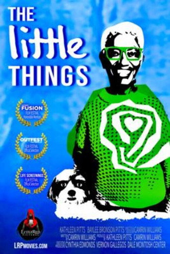 Movie poster for The Little Things (2023)