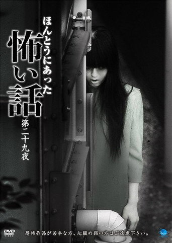 Movie poster for Scary True Stories: Night 29 (2014)