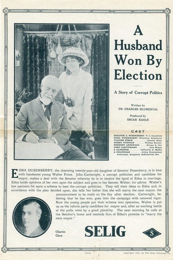 Movie poster for A Husband Won by Election (1913)