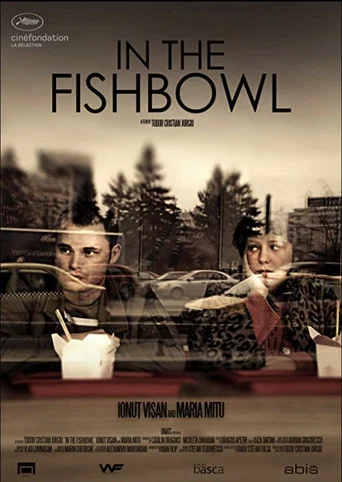 Movie poster for In the Fishbowl (2013)