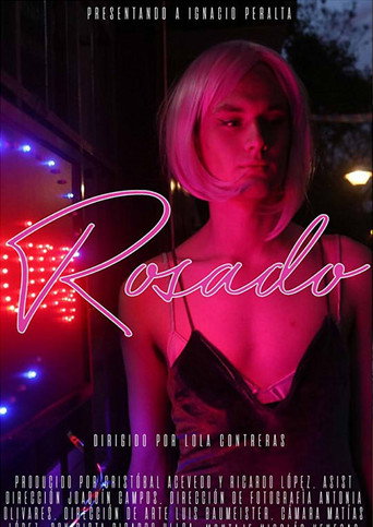 Movie poster for Pink (2017)