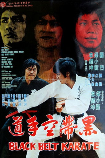 Black Belt Karate poster
