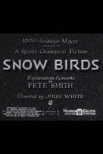 Snow Birds poster