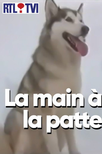 La main à la patte poster