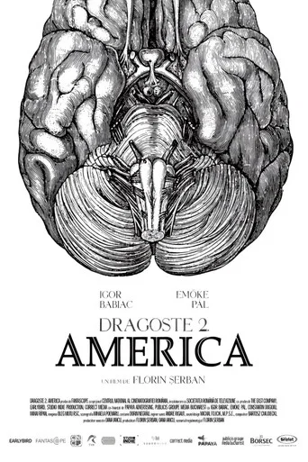 Movie poster for Love 2. America (2018)