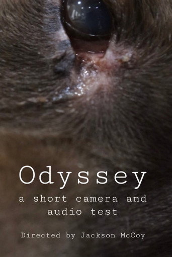 Movie poster for Odyssey - a camera and audio test (2025)