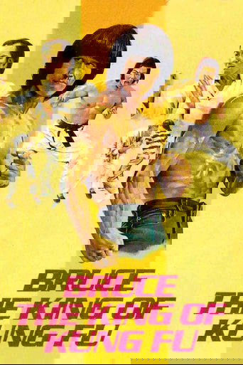 The Legend Of Bruce Lee poster