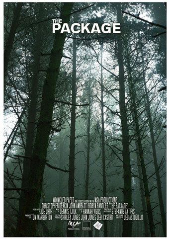 Movie poster for The Package (2018)