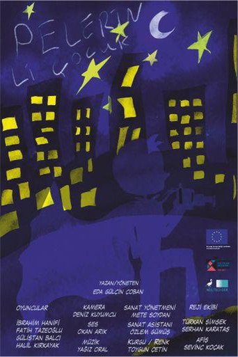 Movie poster for Pelerinli Çocuk (2021)